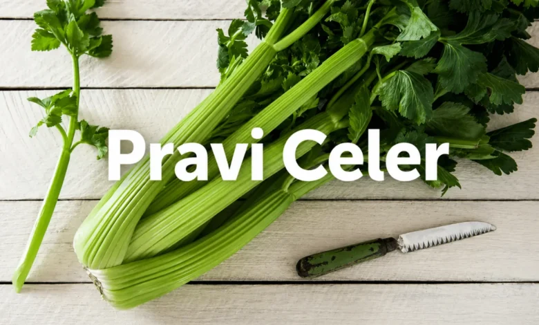 pravi celer