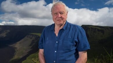 robert attenborough