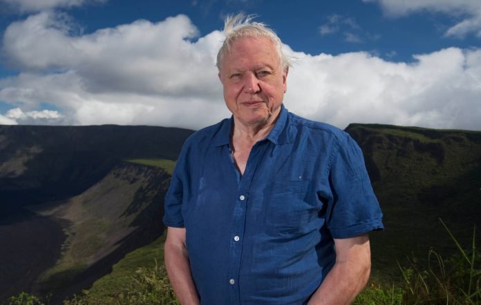robert attenborough